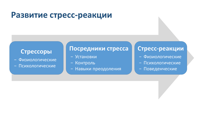 Развитие стресс реакции